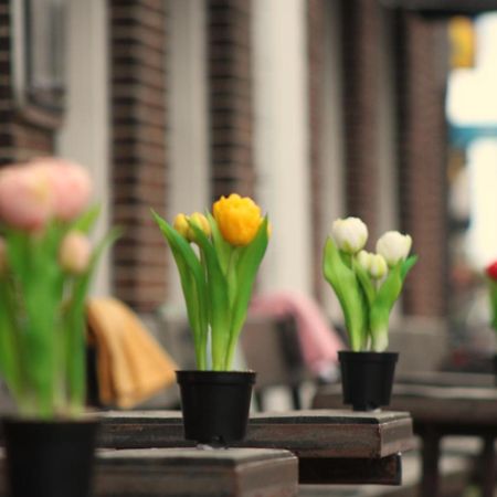 Herberg De Wildeman เลมเมอร์ ภายนอก รูปภาพ