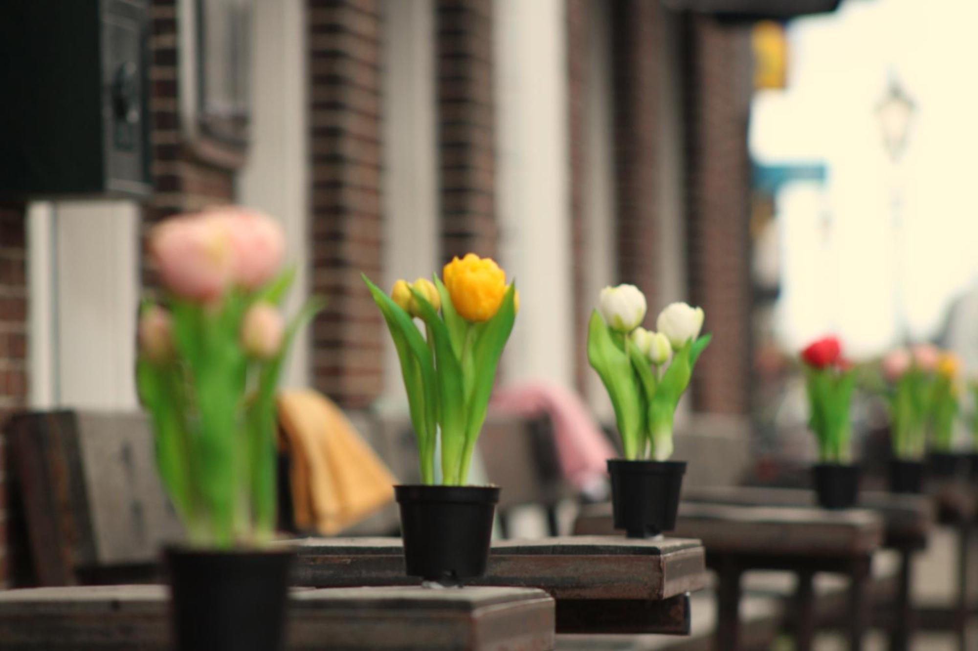 Herberg De Wildeman เลมเมอร์ ภายนอก รูปภาพ